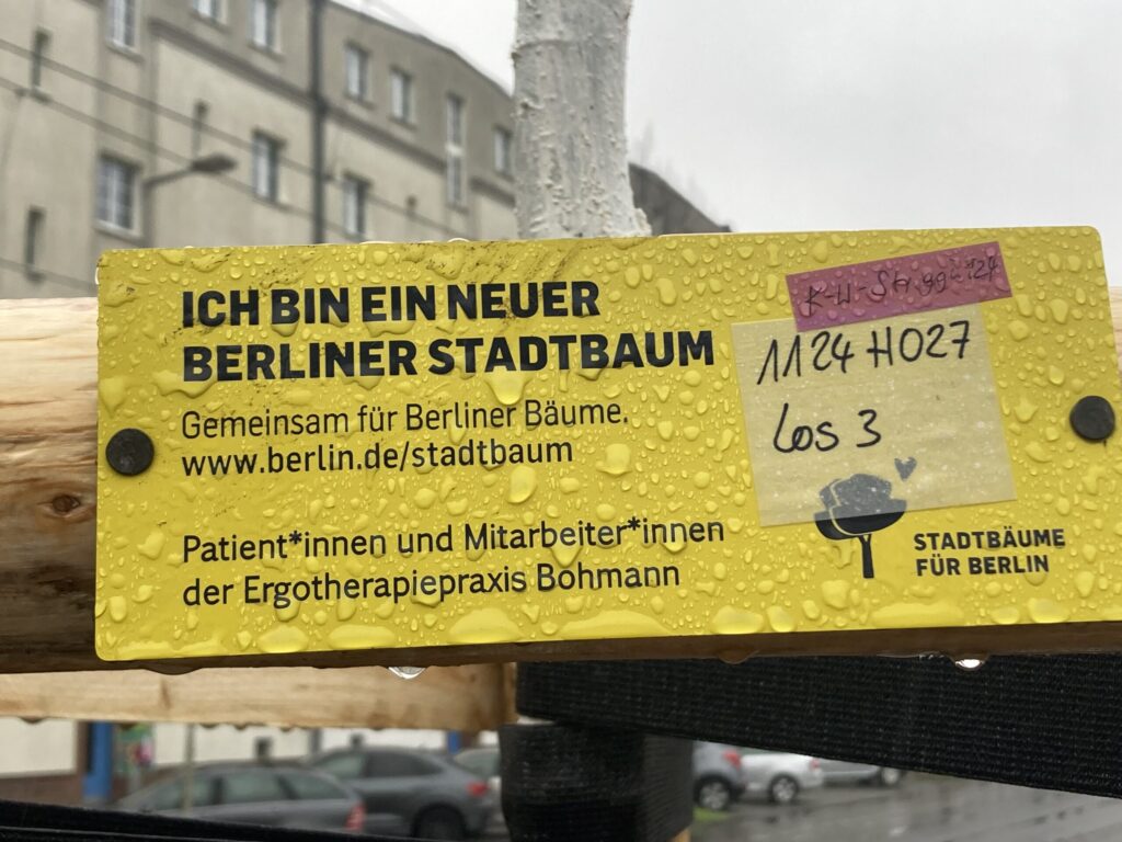Berliner Stadtbaum